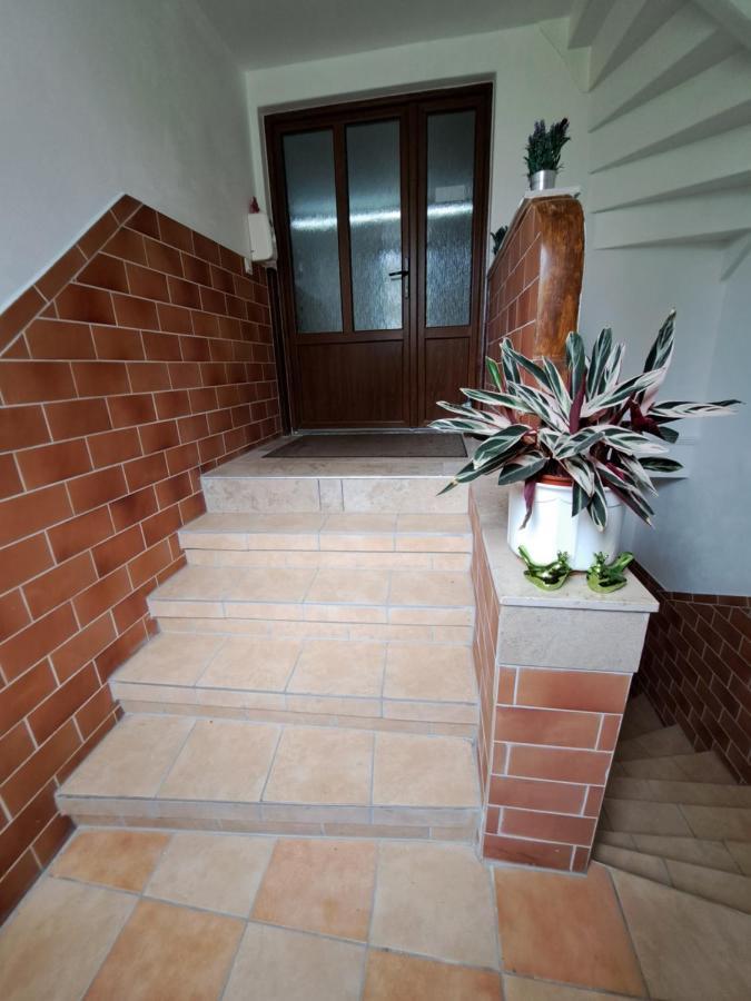 Zimmervermietung Abir دريسدن المظهر الخارجي الصورة